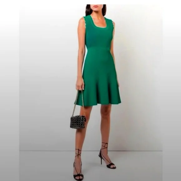 Diane von Furstenberg Adi dress Small - Picture 1 of 4